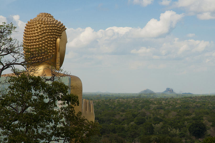 Watching over Sri Lanka Photograph by Brett Davies - Photosightfaces