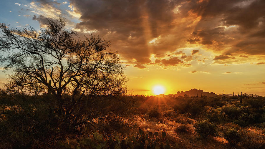 Watching The Sunset On The Desert  Photograph by Saija Lehtonen