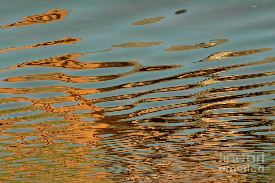 Water Abstract Photograph by Ana V Ramirez