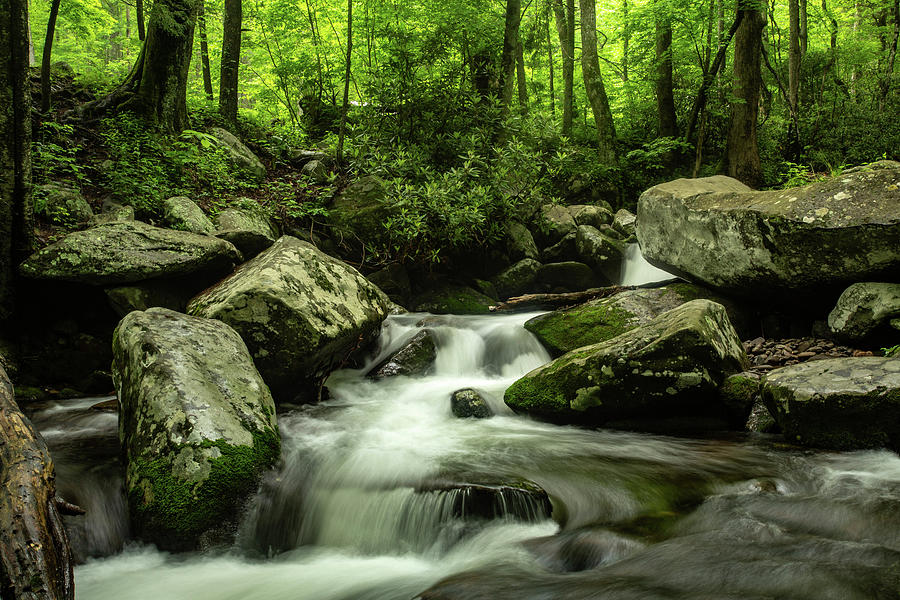 Water and Boulders Smoky Mountains Photograph by Carol Mellema - Pixels