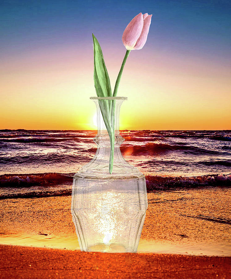 Water And Tulip Digital Art by Steven Parker