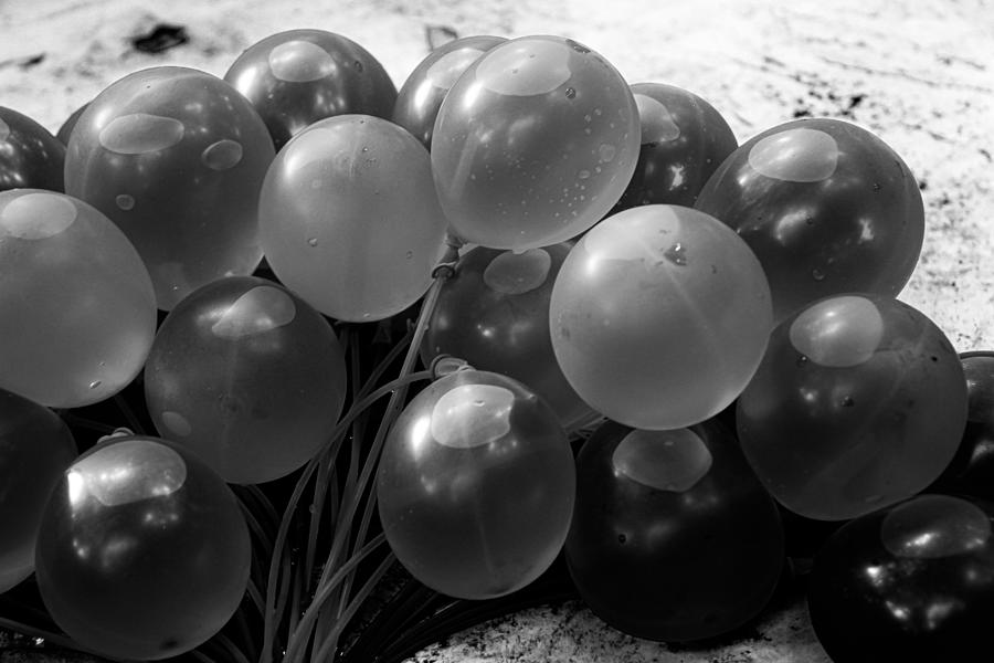 Water Balloons Monochrome Photograph by Windy Craig Pixels