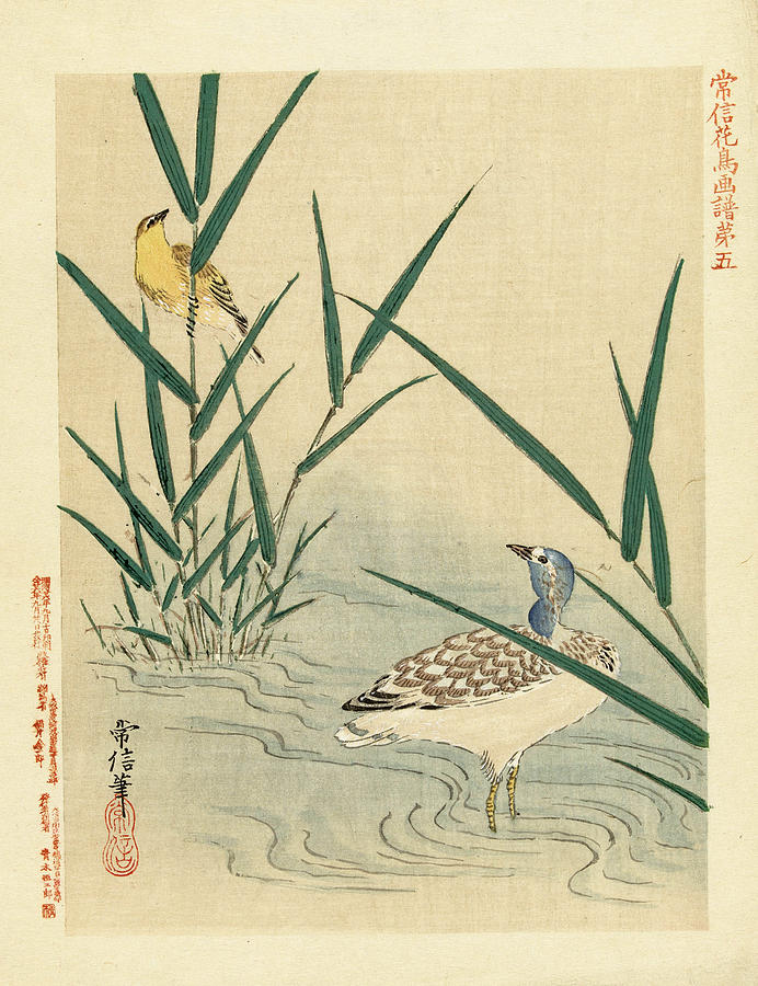 Water bird looking at yellow songbird  Drawing by Kano Tsunenobu