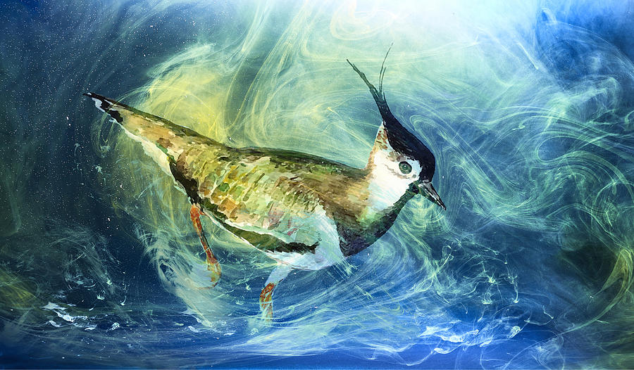 Water Bird Painting by Miki De Goodaboom