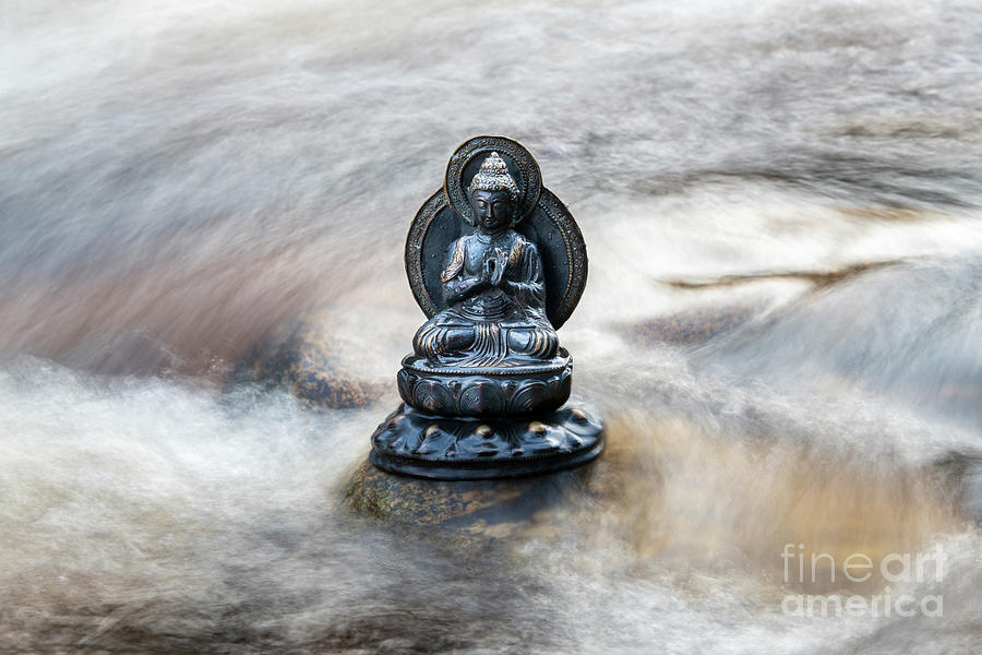 Water Buddha Photograph by Tim Gainey