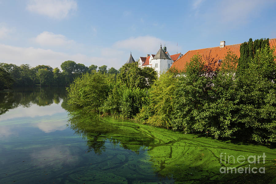Pond Photograph - Water Castle by Eva Lechner