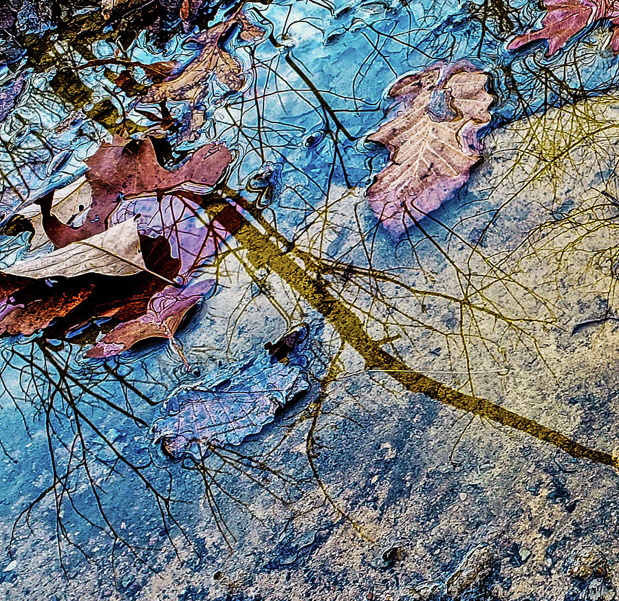 Water Colors Photograph by Lara Ellis