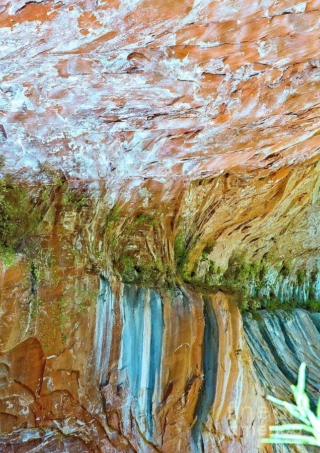 Water Colors Photograph - Water Colors by Mae Wertz Water Colors Photograph - Water Colors by Mae Wertz