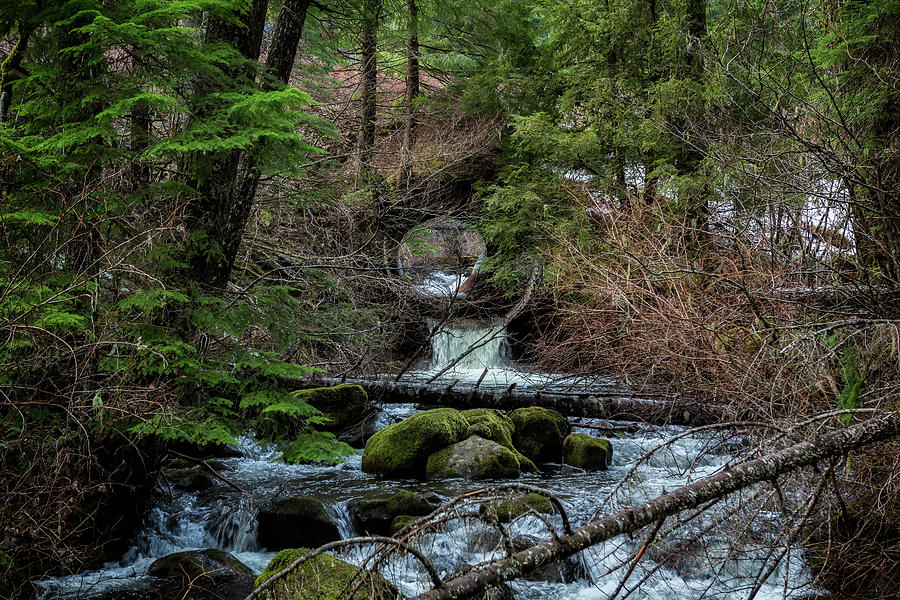 Water Coming Through a Culvert Photograph by Belinda Greb