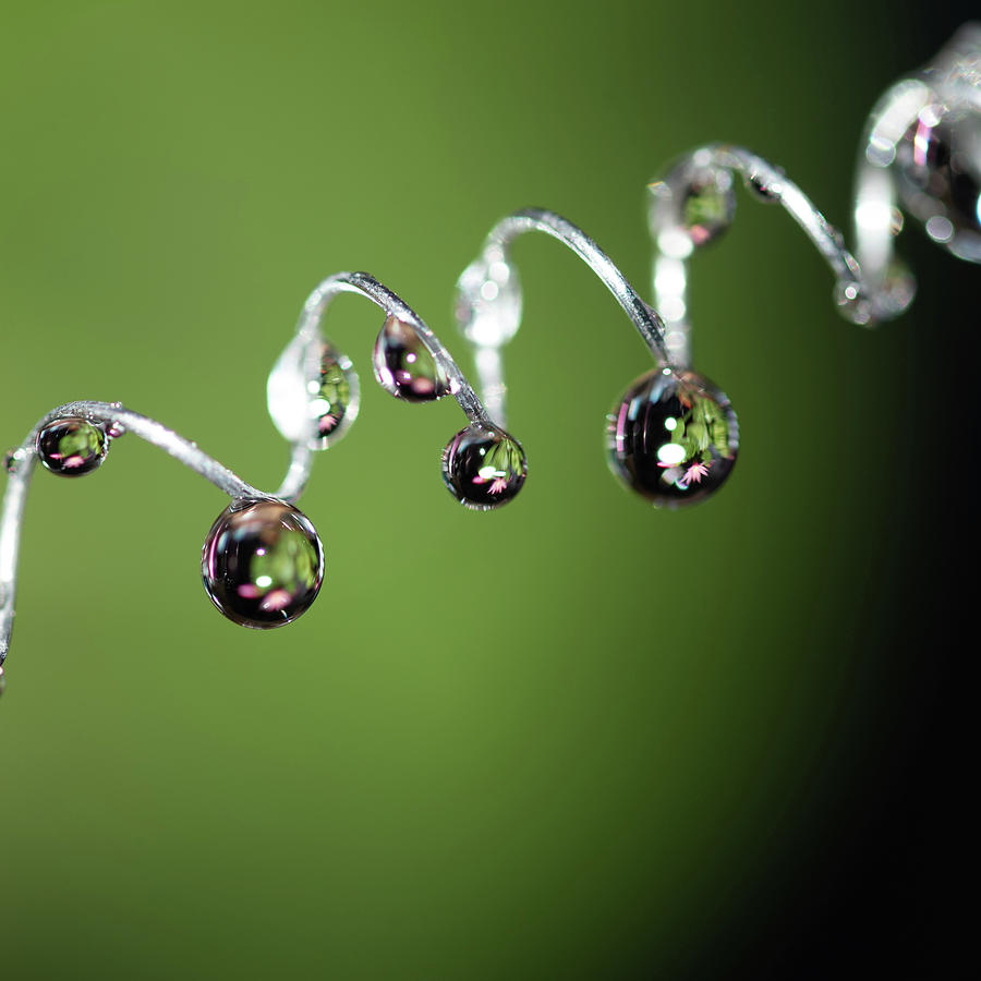 Water drop #3 Photograph by Jessica Bayless | Pixels