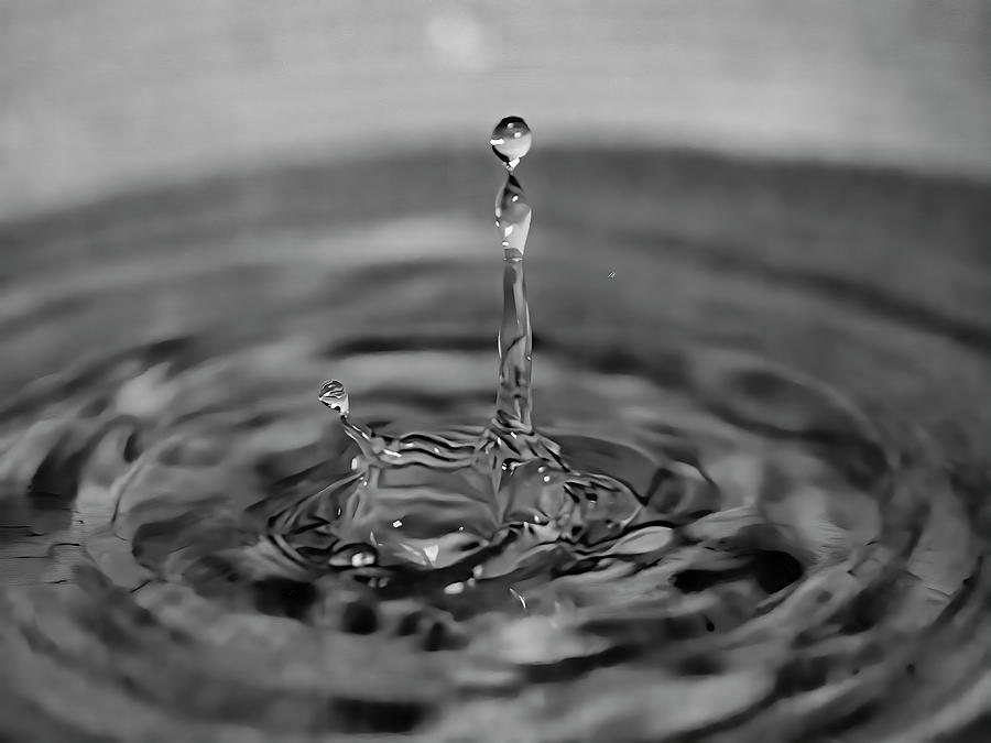 Water Drop Black And White Photograph