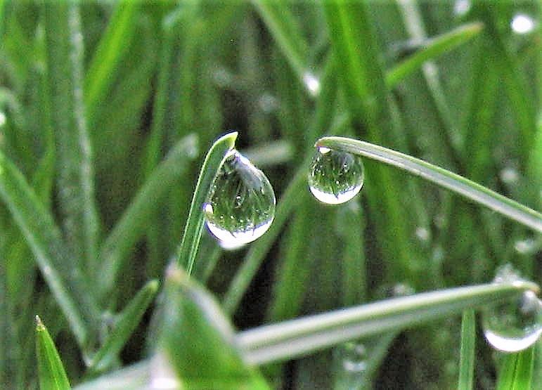 Water Drop Reflection Photograph by John Warness - Fine Art America