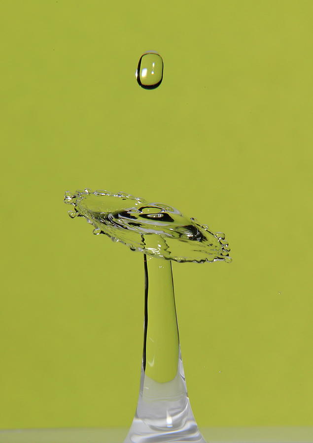 Water Droplet Green Photograph By Glen Loftis 