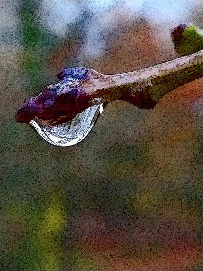 Water Droplet Photograph by Vintage Collectables