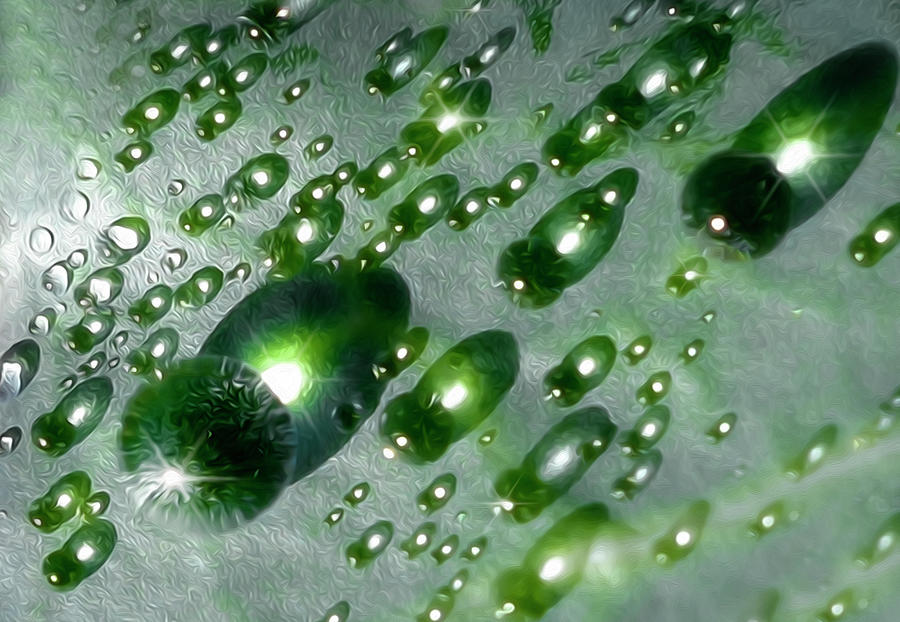 Water Droplets On A Leaf At Sunrise Photograph