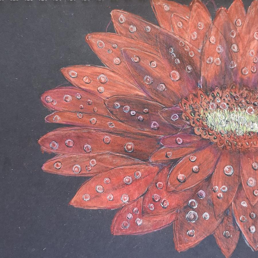 Water droplets on flower Drawing by Lisa Koyle