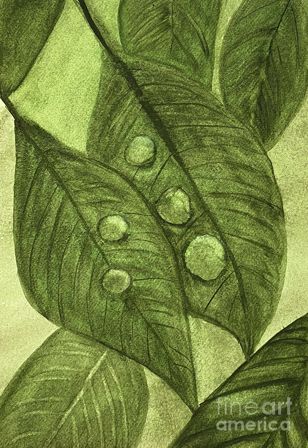 Water Droplets on Green Leaves Painting by Lisa Neuman