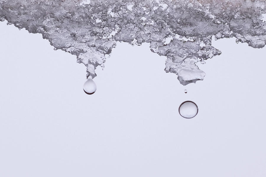 Water Drops Photograph by Mary Lee Dereske