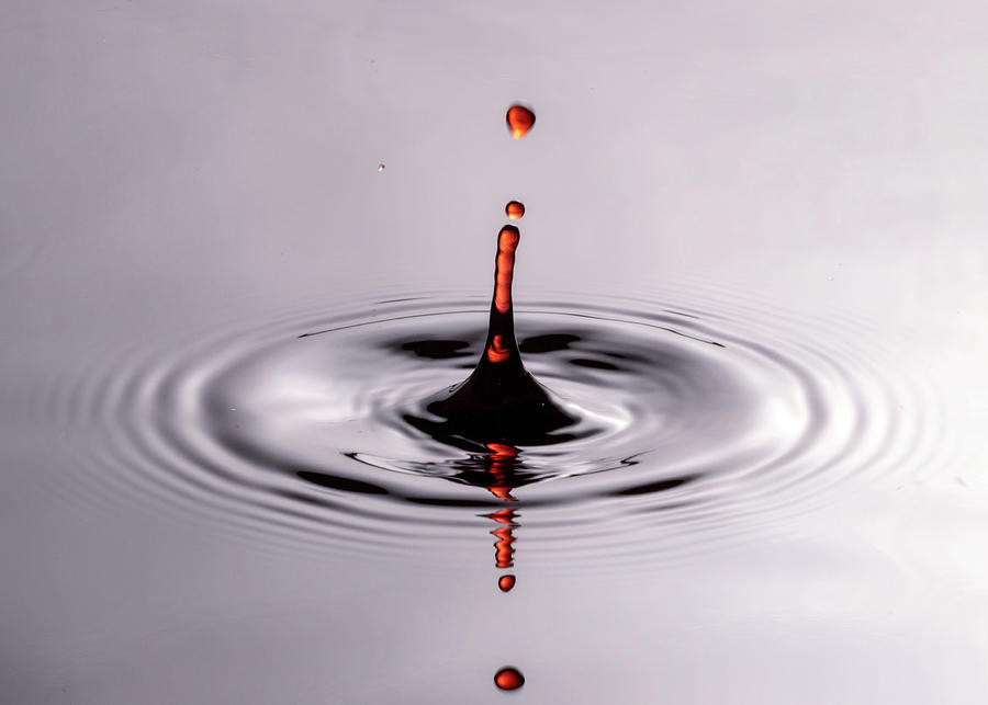 Water Drops Red Photograph by Amelia Pearn