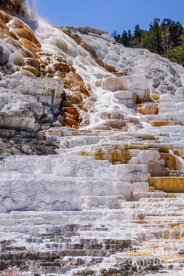 Water Flows At Mammoth Hot Springs Photograph by Jennifer White - Pixels