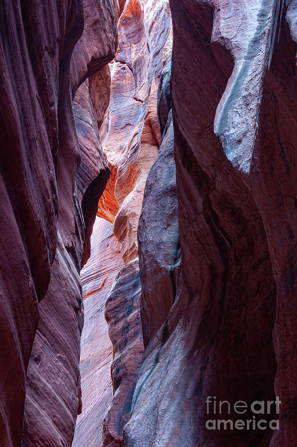 Water Formed Wire Pass Slot Canyon Photograph by Bob Phillips
