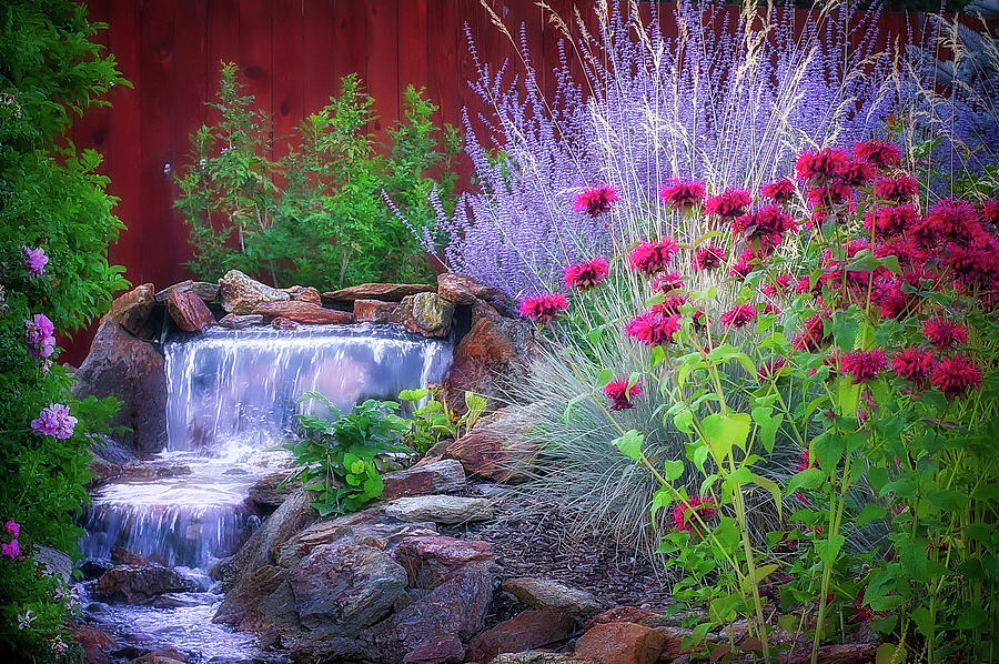 Water Garden Photograph