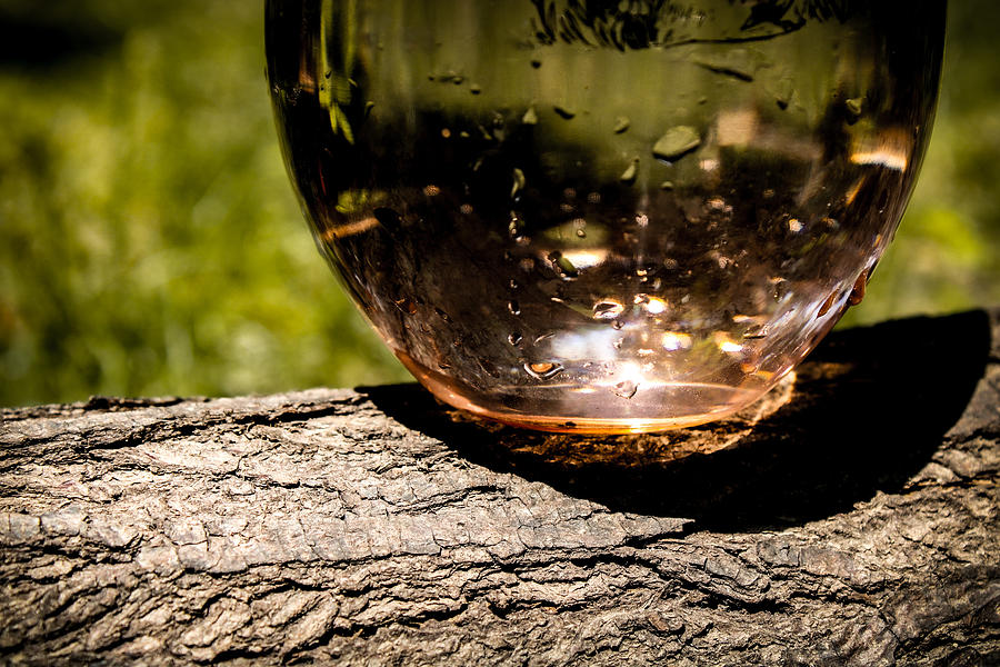 Water Glass on a Log Photograph by W Craig Photography