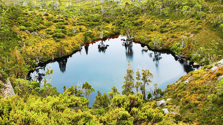 Water Hole Overland Track Photograph by Lexa Harpell