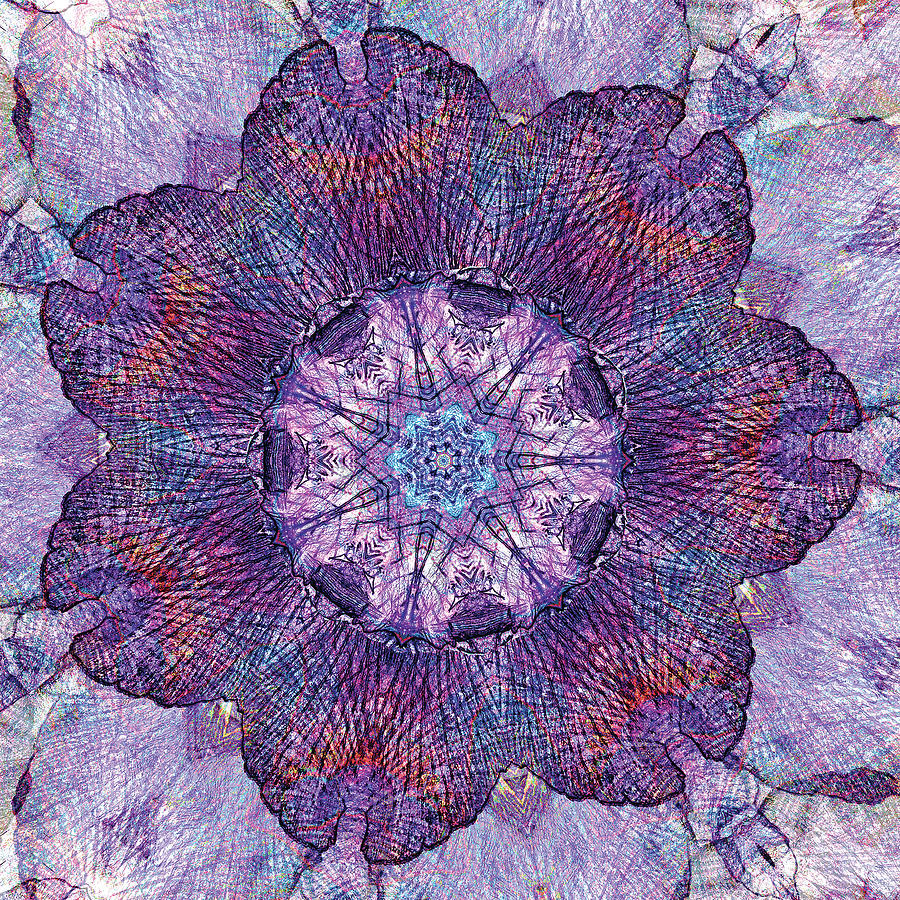Water Iris Mandala Digital Art by Dave Turner