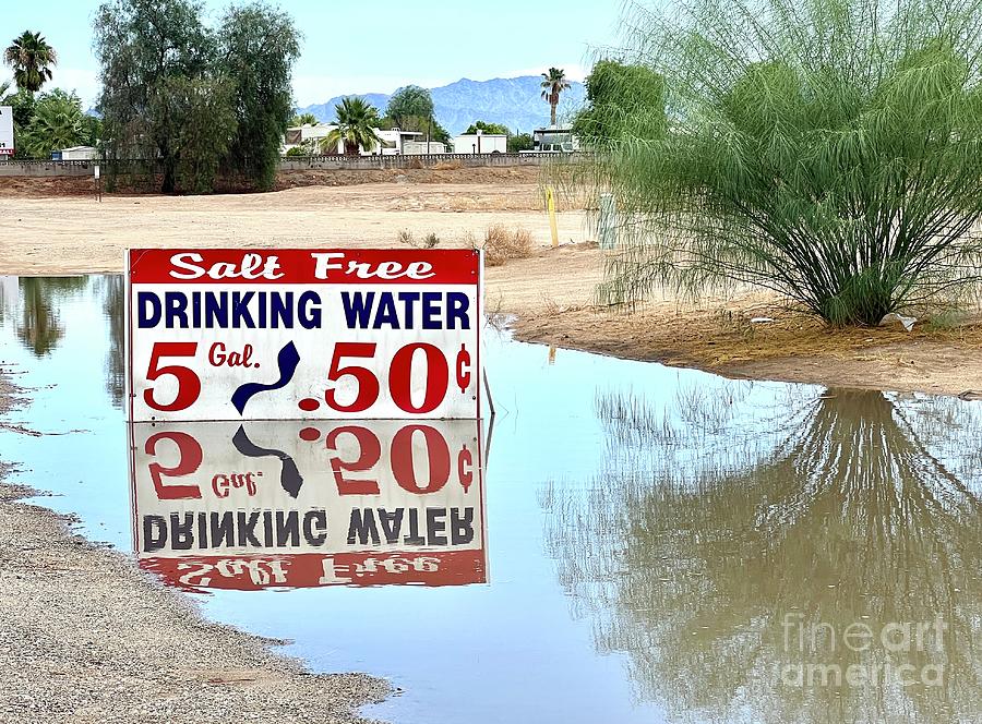 Water is Precious in the Desert Photograph by Sean Griffin