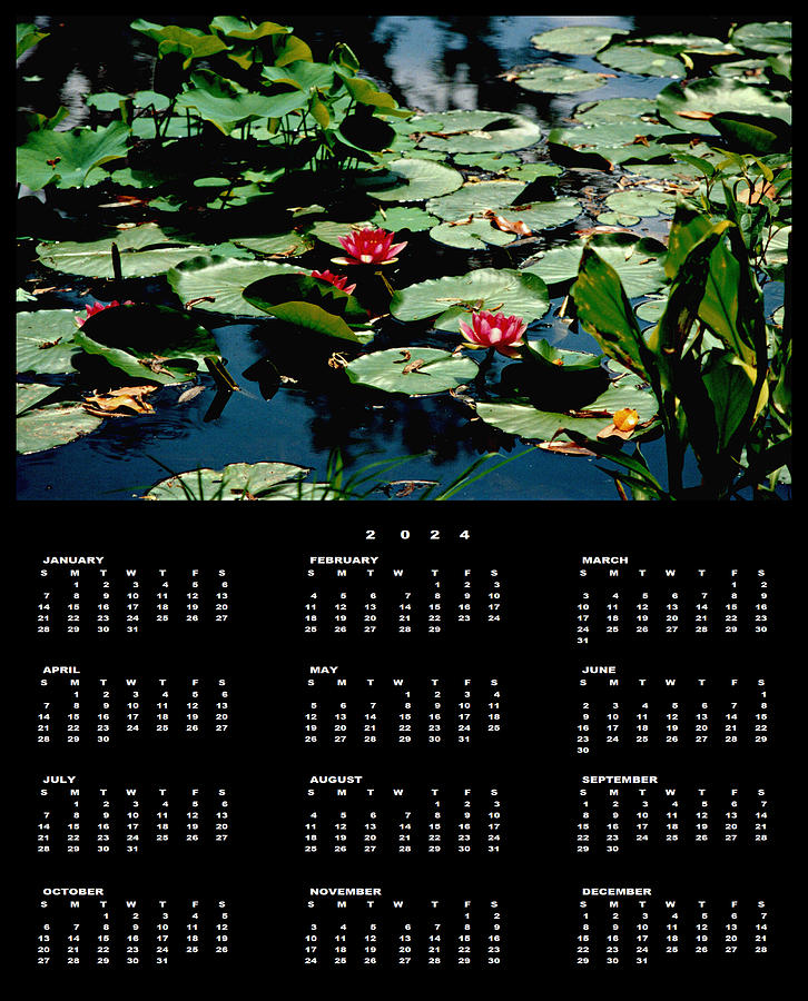 Water Lilies 2024 Calendar Single Page Photograph by Mike McBrayer