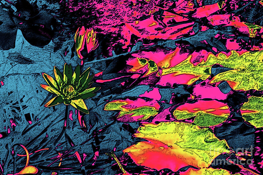 Water Lilies in Colour Digital Art by Mary Mikawoz