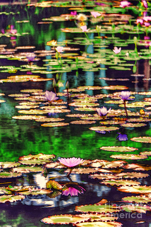 Water Lilies Digital Art by Jeff Breiman