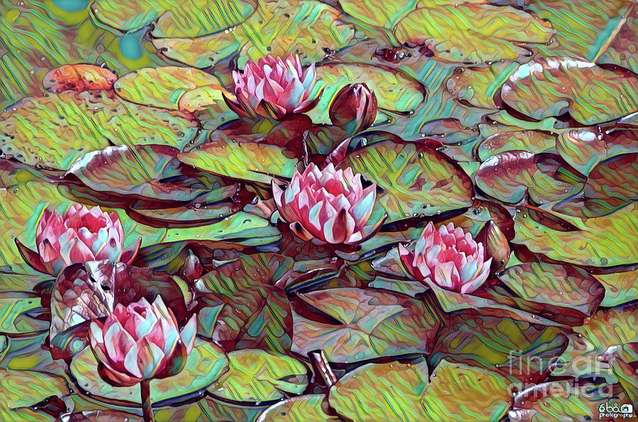 Water Lilies Lotus Digital Art by Elaine Berger
