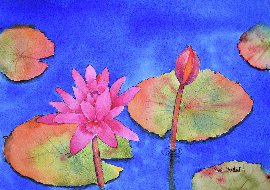 Flower Painting - Water Lilies by Renee Chastant