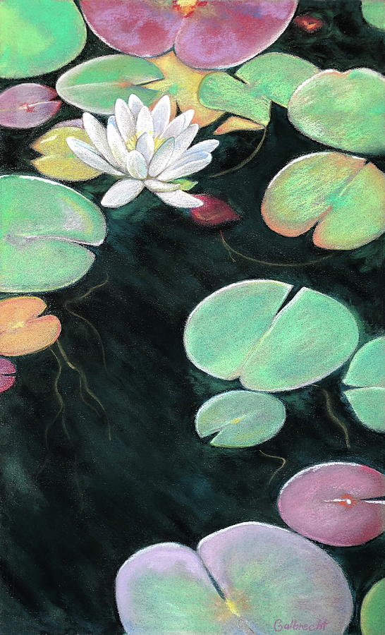 Water Lilies  Painting by Shirley Galbrecht