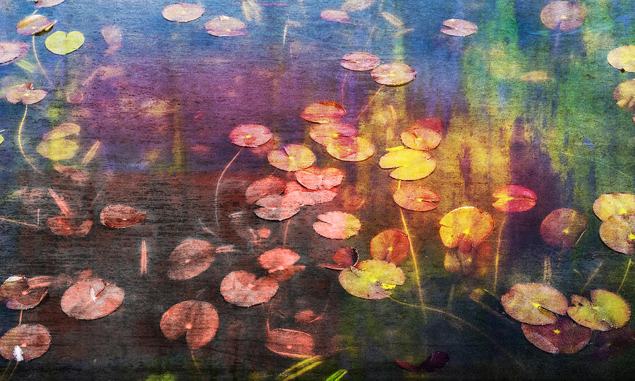 Abstract Digital Art - Water Lilies by Vin De Rosa