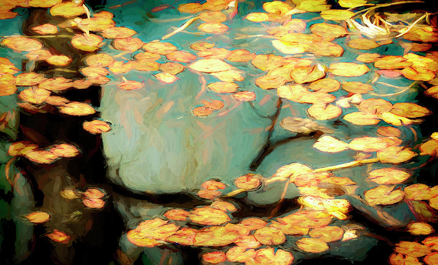 Water Lilies Digital Art by Wayne Sherriff