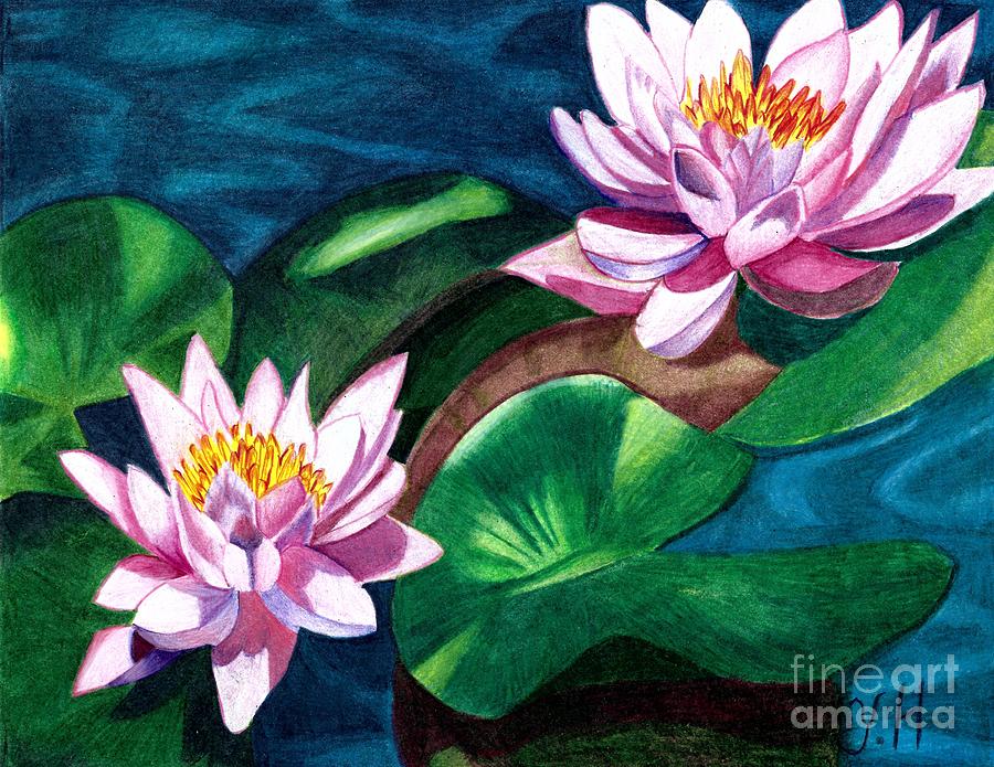 Water lilies  Digital Art by Yenni Harrison