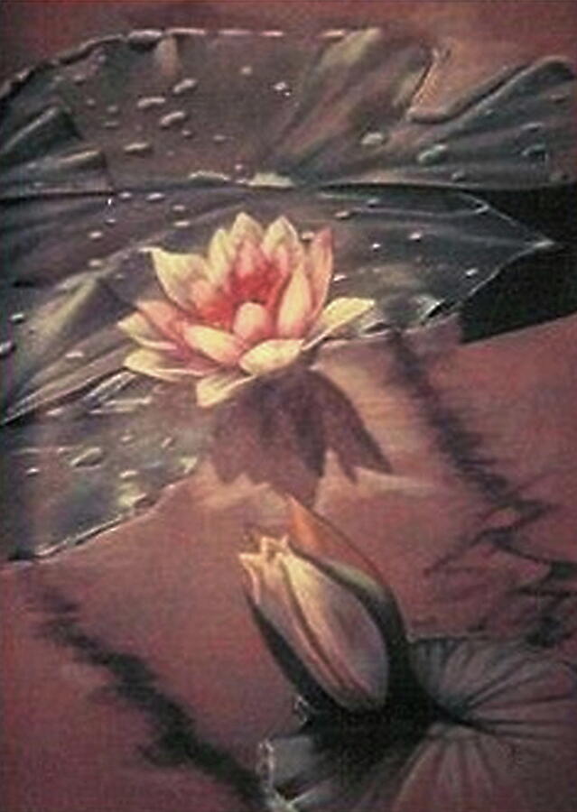 Water Lily Drawing by Barbara Keith