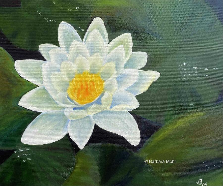 Water Lily Painting by Barbara Mohr | Fine Art America