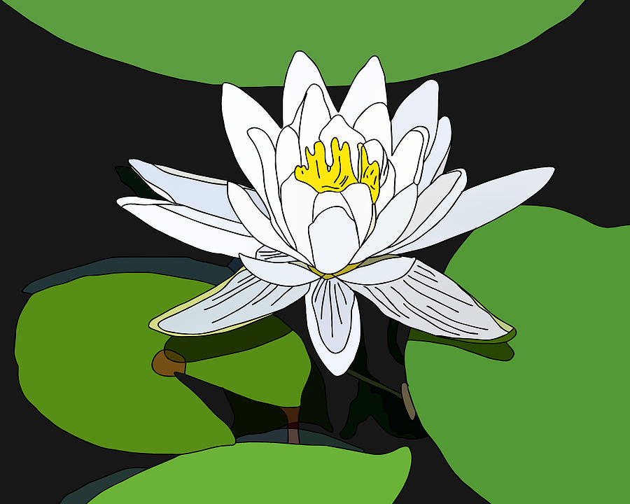 Water Lily Digital Art