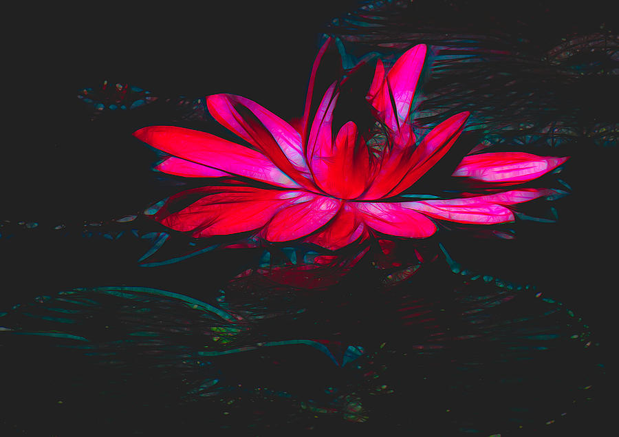 Water Lily in Hot Pink Mixed Media by Rosalie Scanlon
