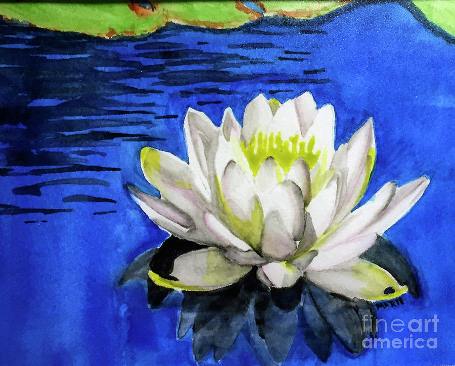 Water Lily Painting by Marie Dudek Brown | Fine Art America