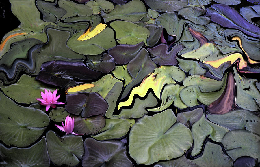 Water Lily Mosaic Photograph by Wayne King