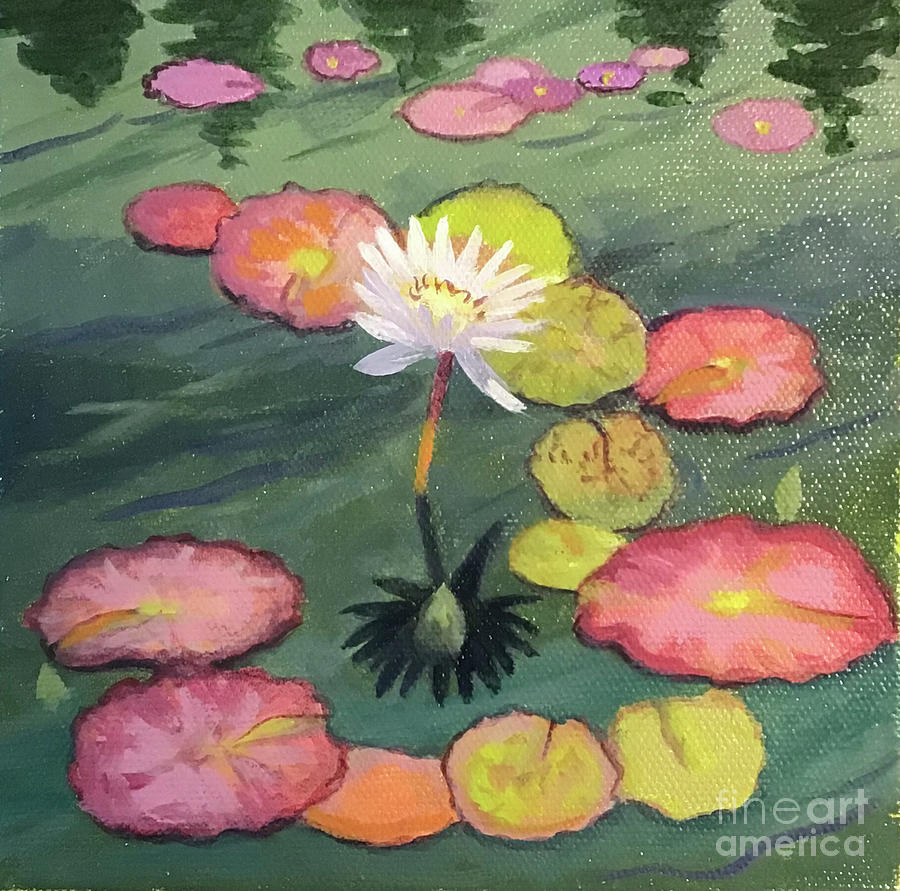 Water Lily Square Painting by Anne Marie Brown