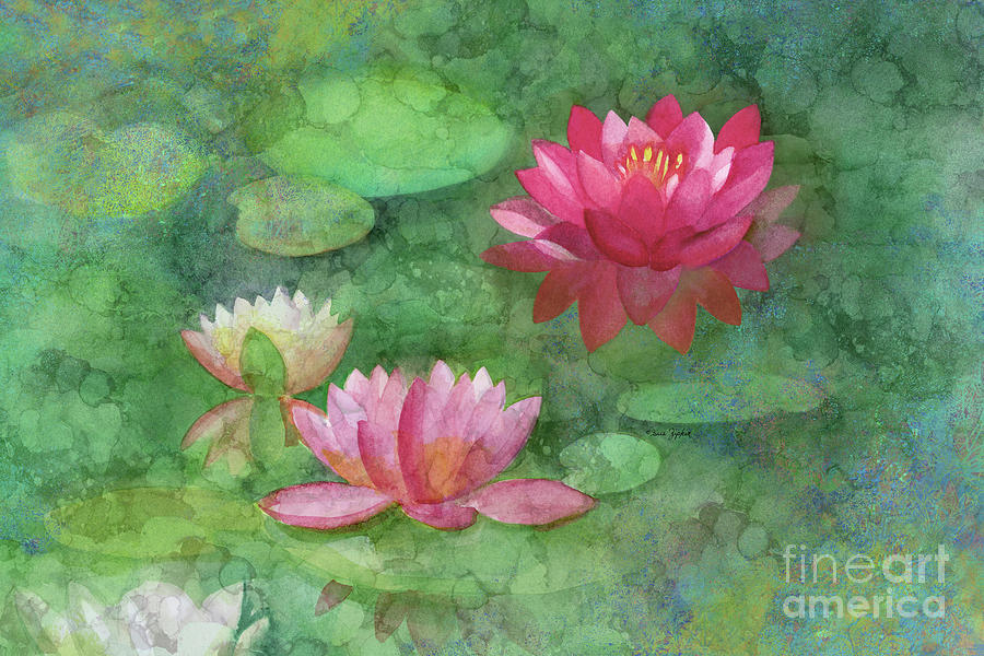 Water Lily Tranquility Painting by Sue Zipkin