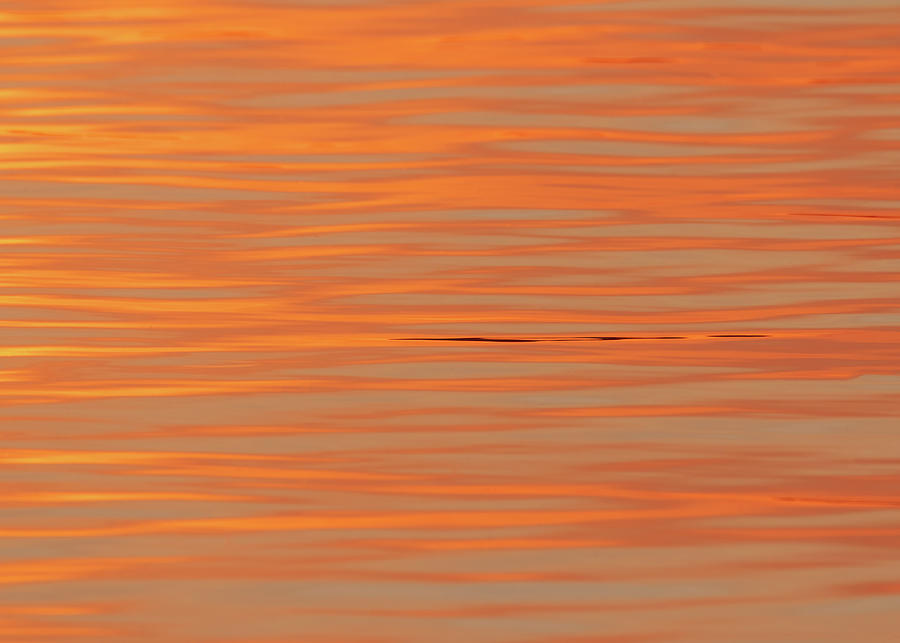 Water Orange Glow at Sunset - Abstract Photograph by Patti Deters