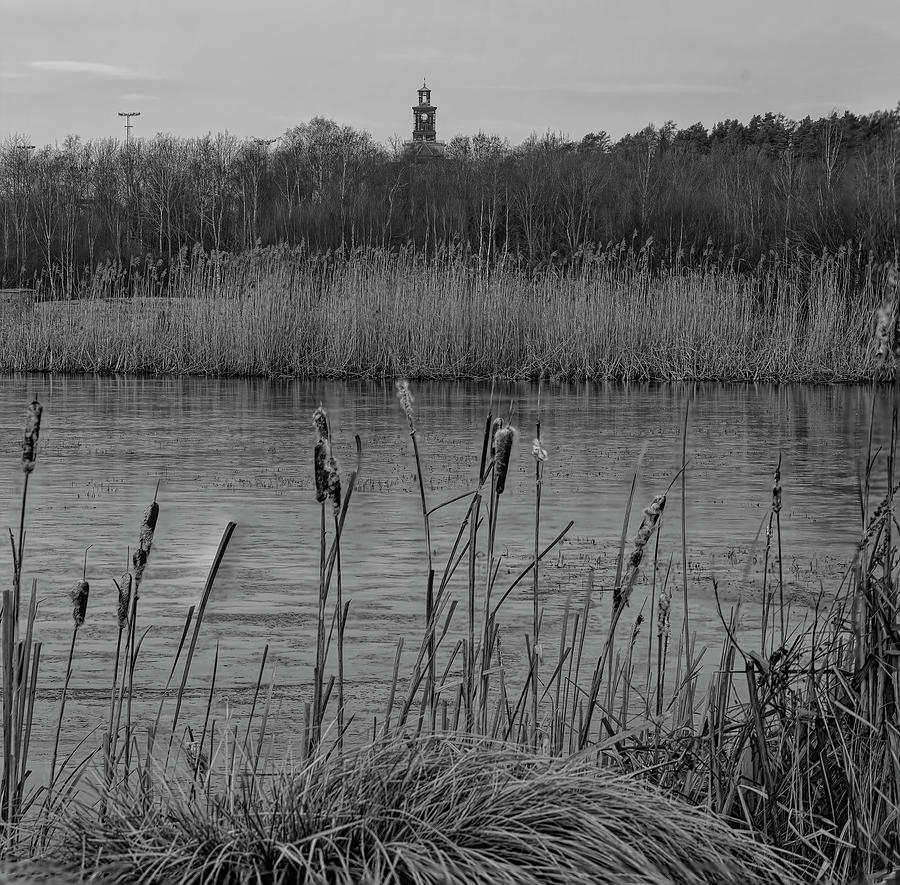 water park view BW #j4 Photograph by Leif Sohlman
