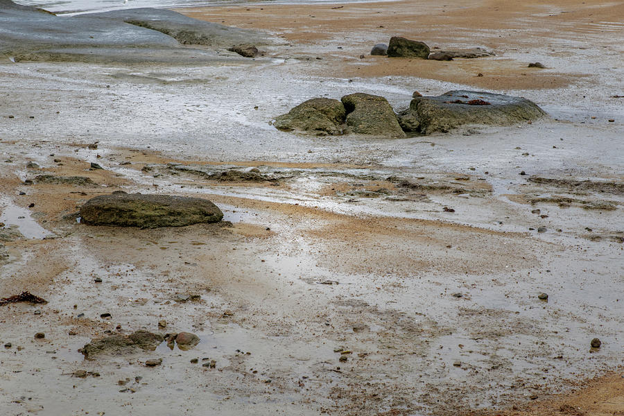 Water, pebbles and rocks on the sand Photograph by Isabelle DUPONT - Pixels